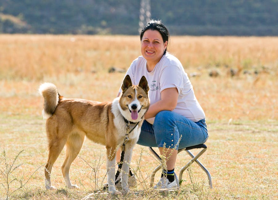 Fortgeschrittenes Hundetraining mit komplexen Übungen