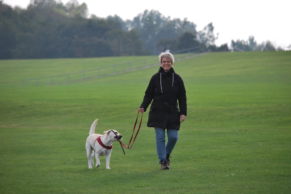 Welpenkurs in der Hundeschule mit Grundlagentraining